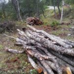 Gapahuk Skinnholmen_4