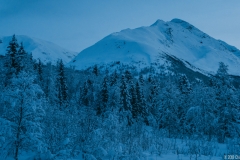 Ut av stuevinduet (1 of 1)
