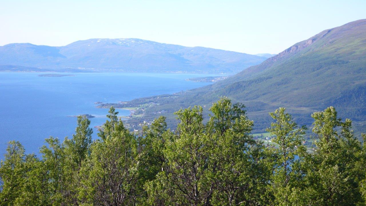 Nordspissen av Tromsøya fra Storkallen 15.8.15