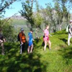 Tur opp Storkallen 15.8.15 016 (6)