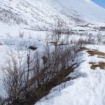Rundvannet 3.4 (7)