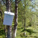 Tur til Rundvannet_13
