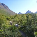Tur til Rundvannet_14