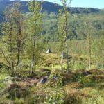 Tur til Rundvannet_8