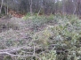 Tiltak