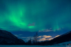 Nordlys hjemme-1-5