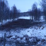 28.11.15 Rydding for akebakke i Engkollen (3)